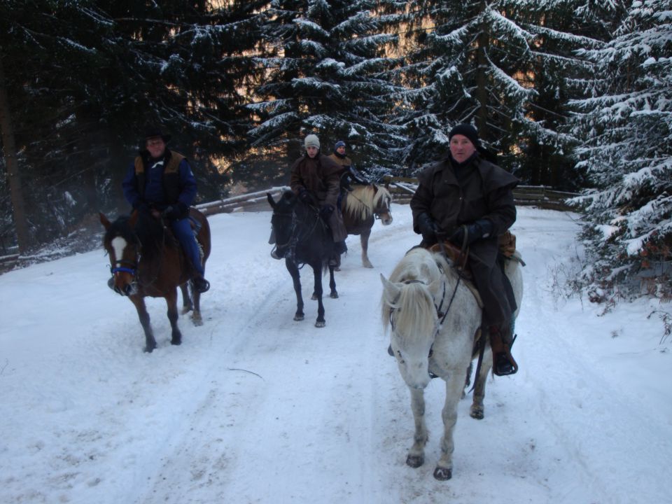 KOSTAVSKA PLANINA 2009 - foto povečava