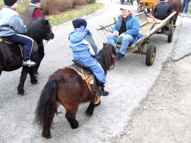 žegnanje konj 2006 - foto povečava