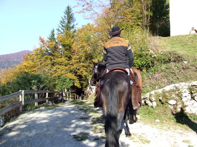 2.kostanjev piknik,14.10.2007 - foto