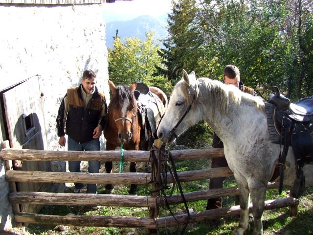 2.kostanjev piknik,14.10.2007 - foto