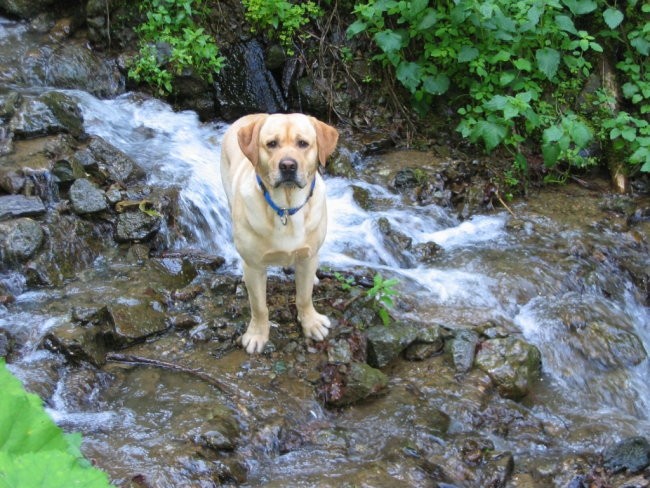 KD Peca-Reševalci - foto povečava