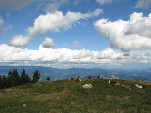 Razgled s Smrekovca (blizu smučišča Golte nad Mozirjem)