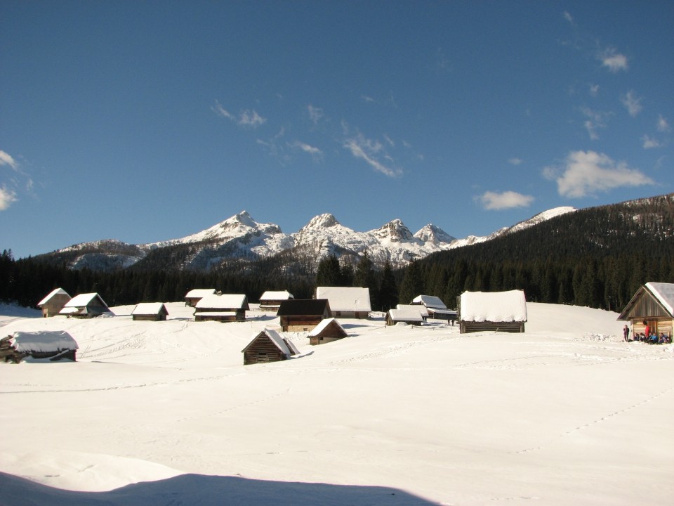 Še planina Javornik