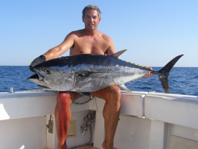 Tuna 40 kg