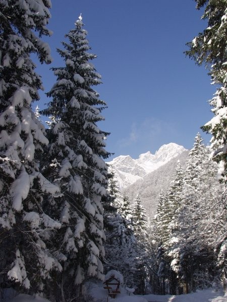 Kamniška Bistrica
januar 2007