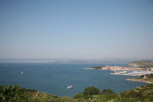 Izola