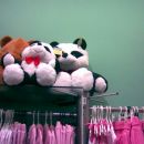 Pandi