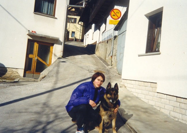 NEMŠKI OVČAR LARI (1987-2001) - foto povečava