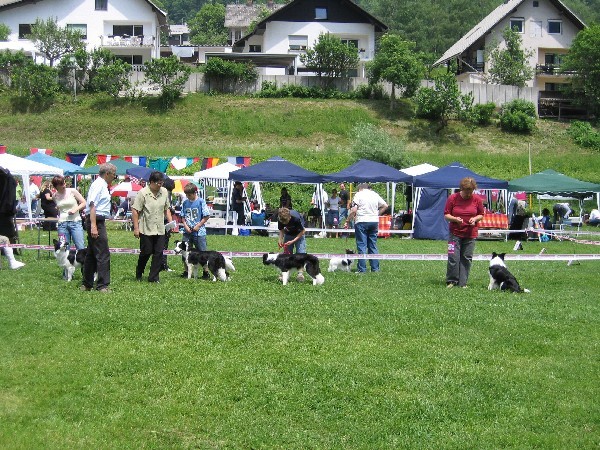 CAC HRUŠICA 2006 - foto