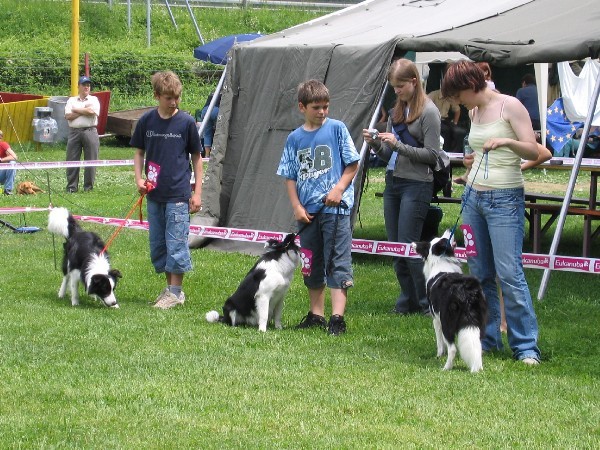 CAC HRUŠICA 2006 - foto povečava