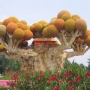 GARDALAND - 29.07.2005
