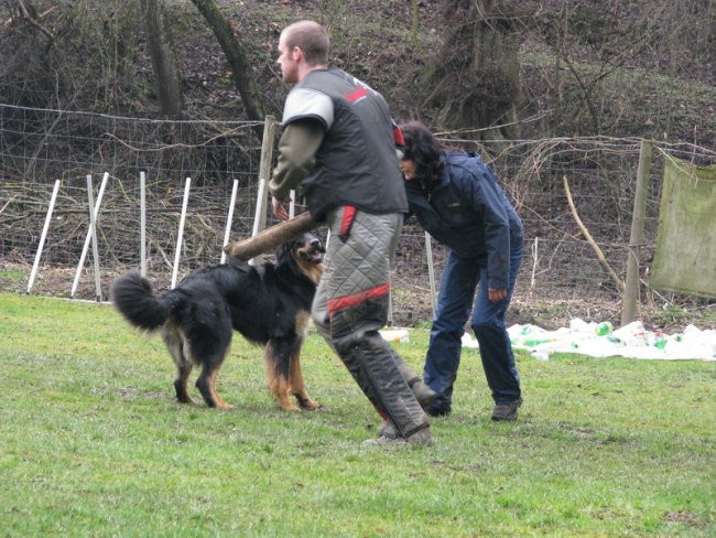 Jugendbeurteilung - JB ALESSA - 8.3.2008 - foto povečava