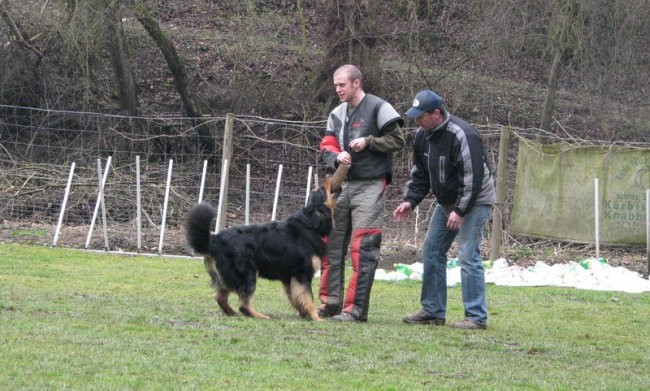 JB - Akimo - foto povečava