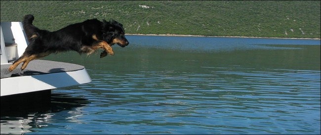 Morje - Žut,Luški in Brbinj - junij 08 - foto povečava