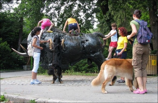 ZOO Ljubljana - Alessa, Bono, Nessa - 11.juli - foto