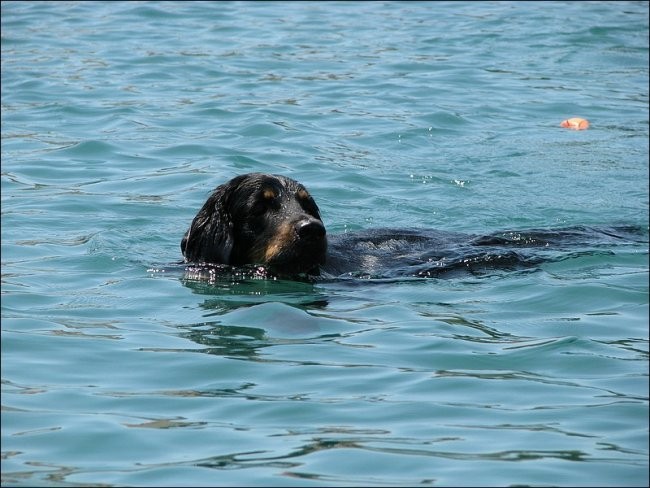 Morje - Pašman, Telaščica, Žut in Kornati - A - foto povečava