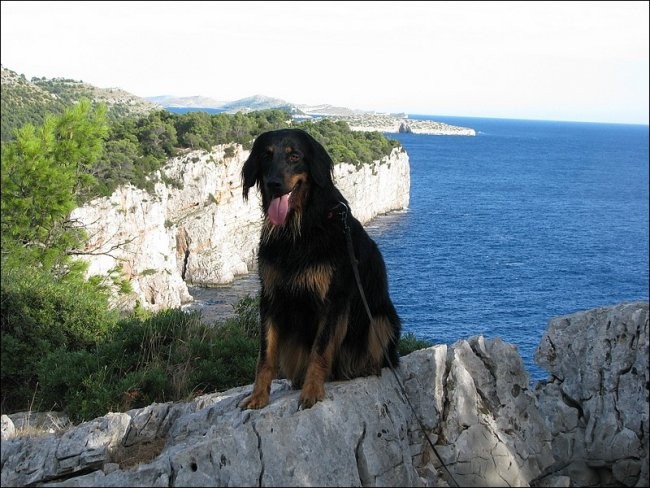 Morje - Pašman, Telaščica, Žut in Kornati - A - foto povečava