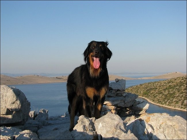 Morje - Pašman, Telaščica, Žut in Kornati - A - foto povečava