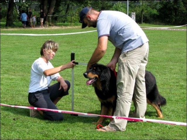 Vzrejni pregled - Domžale 2008 - foto