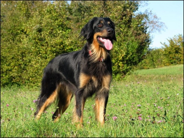 Oktober 2008 - foto