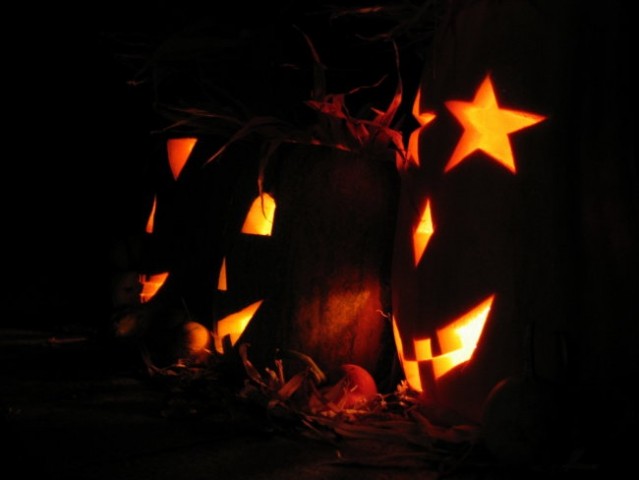 Halloween - foto