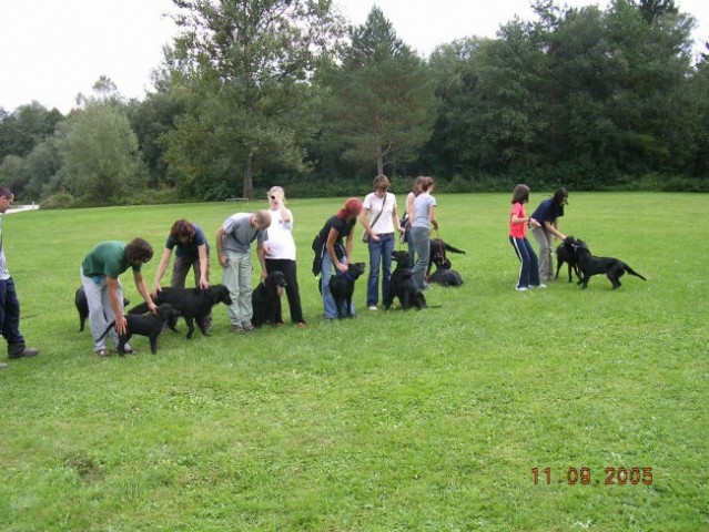 Piknik flatkov sept. 2005 - foto