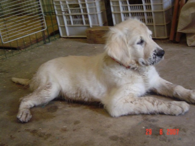 29.6.2007 - foto