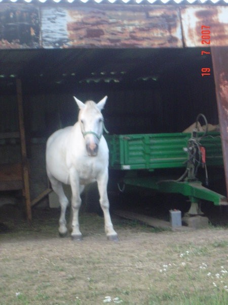 19.7.2007 - foto povečava