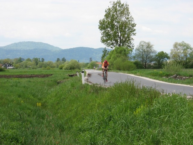 Morostar2008-slike po vrsti - foto povečava