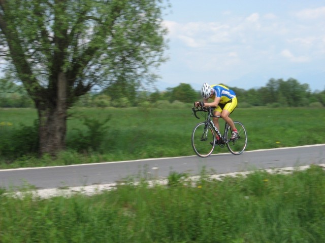 Morostar2008-slike po vrsti - foto povečava