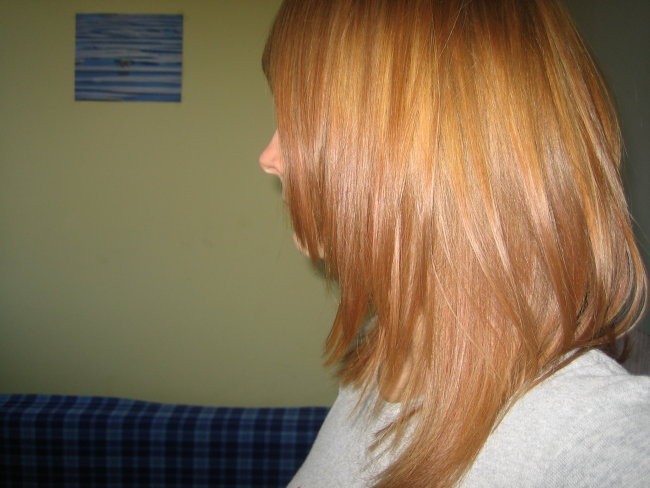 Barva las - foto povečava