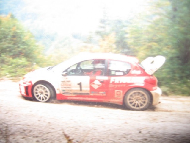 Rally - foto