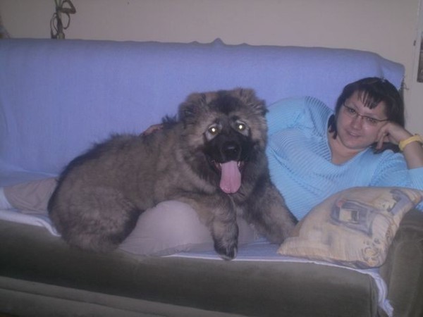 Medo junior - foto