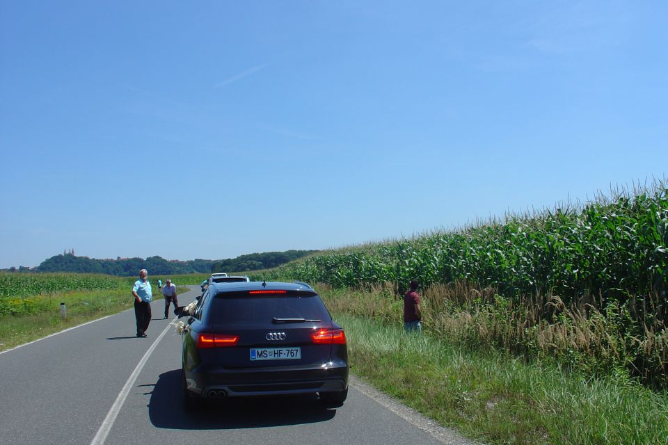 Poroka Aljaž in katja 30.07.2016 - foto povečava