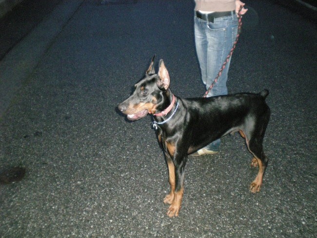 Titus - foto povečava