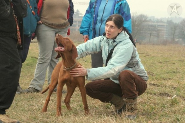 SRECANJE VIZSEL - foto