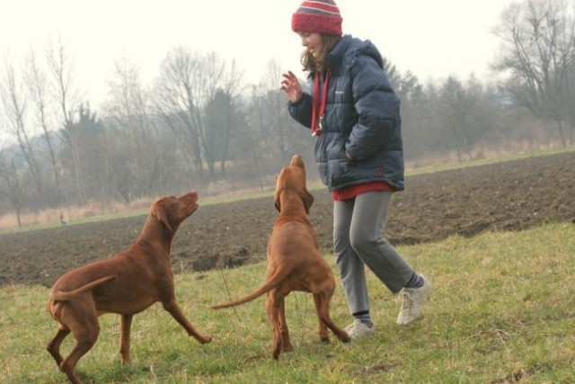 SRECANJE VIZSEL - foto