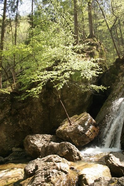 Pekel pri Borovnici z Gajem - foto povečava