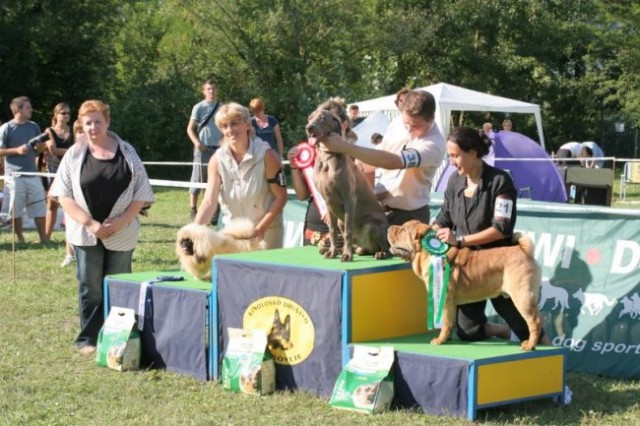 CAC Trbovlje 27.08.2007 - foto