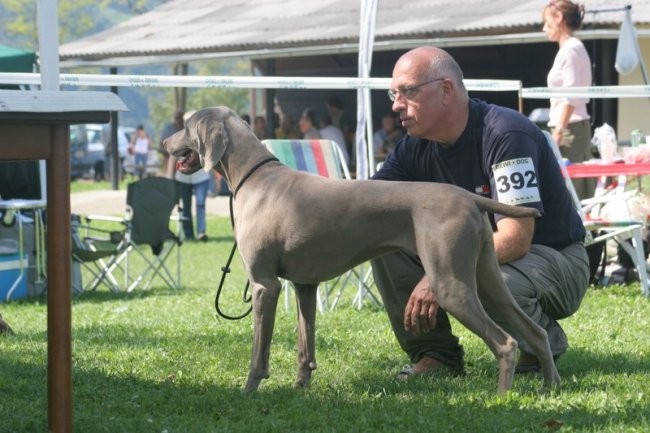 CAC Trbovlje 27.08.2007 - foto povečava