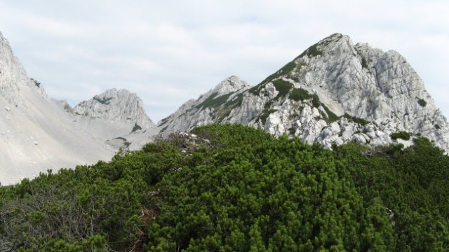 Palec, Zelenjak, Vrtača, 04.08.2007 - foto