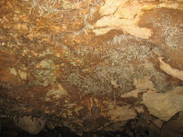 Aragoniti - posebnost jame - kapniki, ki ne rastejo navpicno