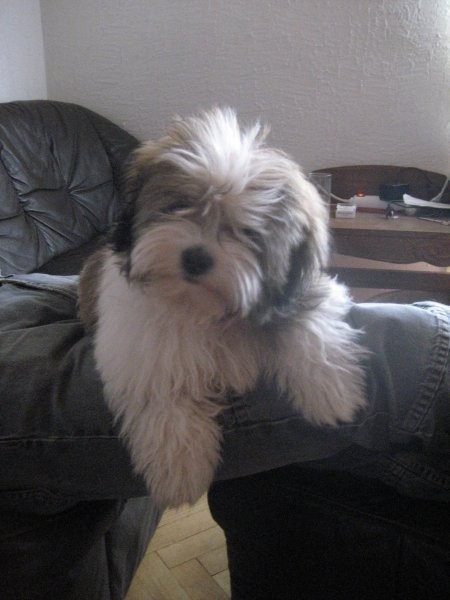 Dony 5mesecev