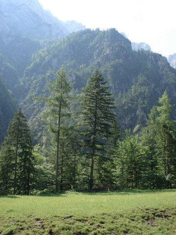 LOGARSKA DOLINA 2007 - foto povečava