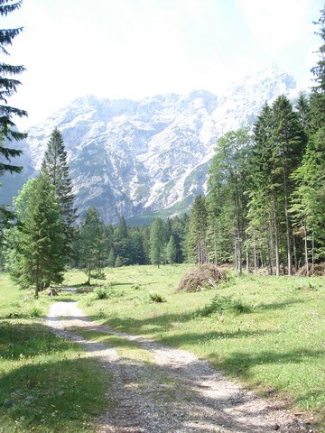 LOGARSKA DOLINA 2007 - foto povečava