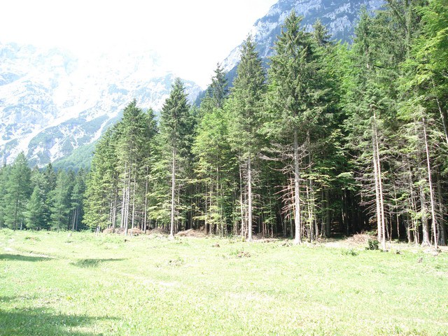 LOGARSKA DOLINA 2007 - foto povečava