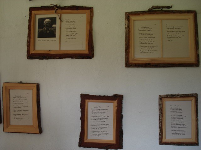 LOGARSKA DOLINA 2007 - foto povečava