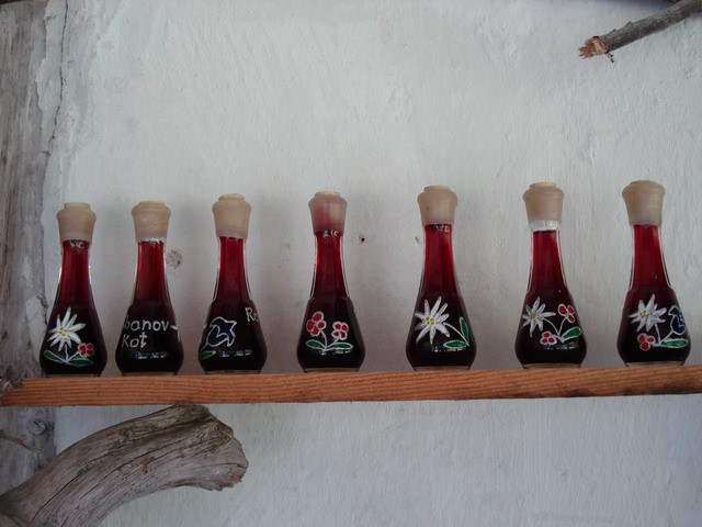 LOGARSKA DOLINA 2007 - foto povečava