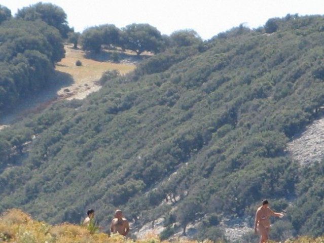 Za otokom (24x zoom)