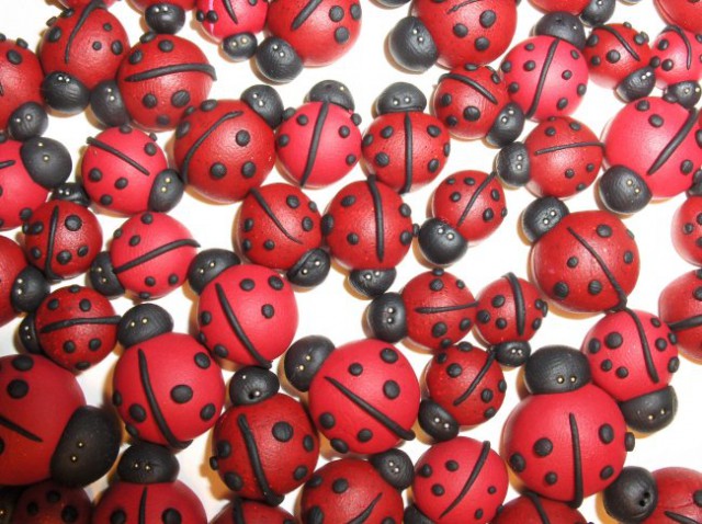 38
Pikapolonice
''Ladybugs''